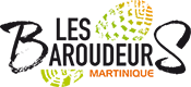 logo Baroudeur